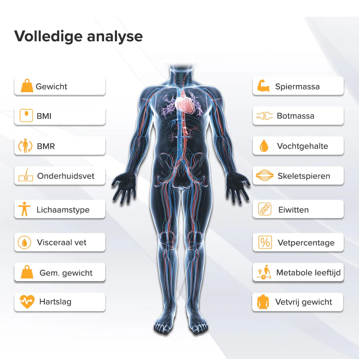 Robi S15 4 Robi S15 Weegschaal - Afbeelding 7